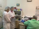 Знакомство с цикличным меню 