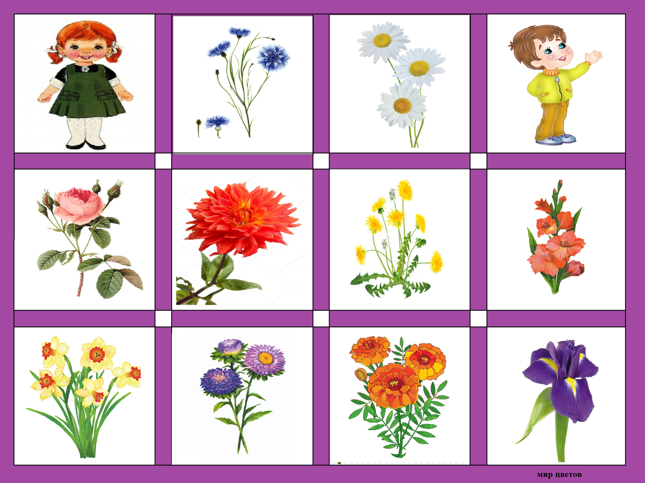 Картинки тема цветы. Цветы старшая группа. Карточки цветов для детей старшей группы. Полевые цветы старшая группа. Дидактические игры на тему цветы.