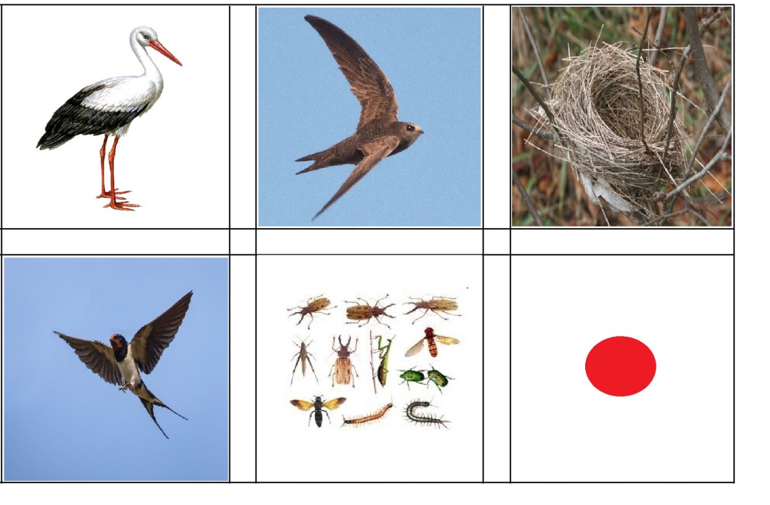 Разрезные картинки перелетные птицы
