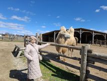 В этнопарке Кочевник