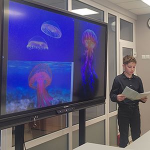 Вы знали, почему птица киви не летает, а крошечная колибри может летать задом наперед?