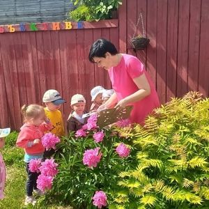 Лето в детских садах