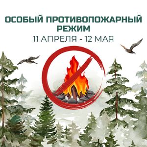 В Новосибирской области действует особый противопожарный режим