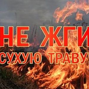 Пал травы весной