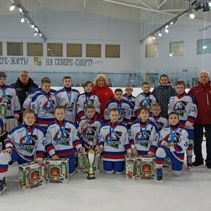 Новогодний турнир по хоккею