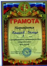 "Открытый ринг", Кашаев Захар