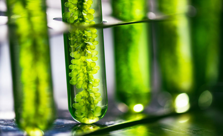 Биотопливо