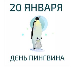 День пингвина