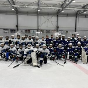 Товарищеский матч по хоккею