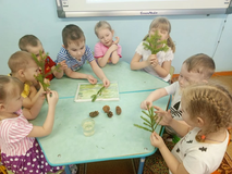 рассматривание, наблюдение