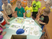 интеллектуальные игры