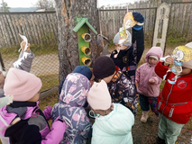 развешивание кормушек