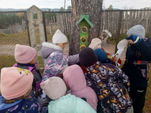 развешивание кормушек