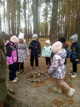 экологические игры