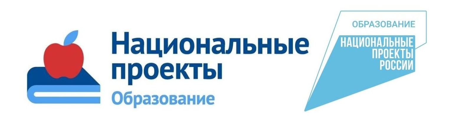 Проект образование в рф