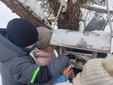 Акция "Покормите птиц зимой!"