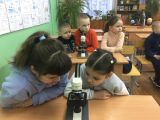 Урок естествознания в младших классах
