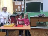 Урок естествознания в младших классах