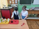Урок естествознания в младших классах