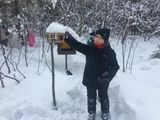 Акция "Покормите птиц зимой!"