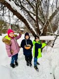 Акция "Покормите птиц зимой!"