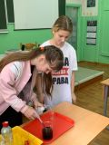 Урок естествознания в младших классах