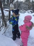 Акция "Покормите птиц зимой!"