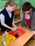 Урок естествознания в младших классах