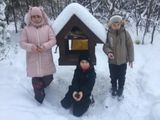 Акция "Покормите птиц зимой!"