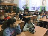 Урок естествознания в младших классах