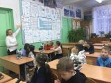 Урок естествознания в младших классах