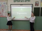Разговоры о важном. Торопец - древний город.
