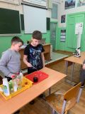 Урок естествознания в младших классах