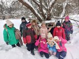 Акция "Покормите птиц зимой!"