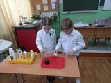 Урок естествознания в младших классах