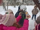 Акция "Покормите птиц зимой!"