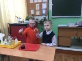 Урок естествознания в младших классах