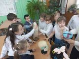 Урок естествознания в младших классах
