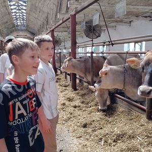 Ребята побывали на животноводческой ферме