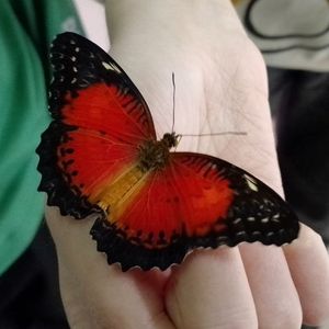 ПОСЕТИЛИ УНИКАЛЬНУЮ ВЫСТАВКУ