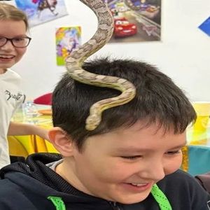 🎉 28 ФЕВРАЛЯ — ФЕВРОМАРТ: ДРУЖБА ПОБЕДИЛА!