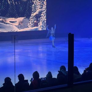 ✨ НОВОГОДНЯЯ СКАЗКА НА ЛЬДУ! ✨