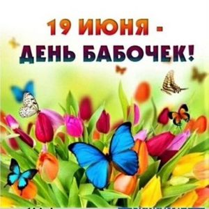 Летние прогулки