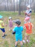 Знакомство с растениями