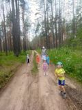 Прогулка по лесу