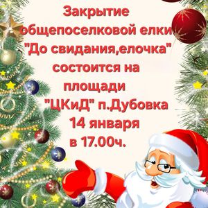 Приглашаем вас на торжественное закрытие ёлки