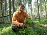 Черника