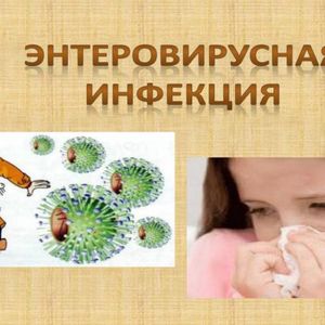 Внимание! Энтеровирусная инфекция