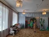 Интеллектуальные игры по природоохранной тематике