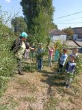 поможем тете Ире